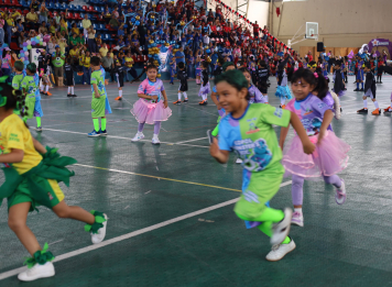 Integracion copolina