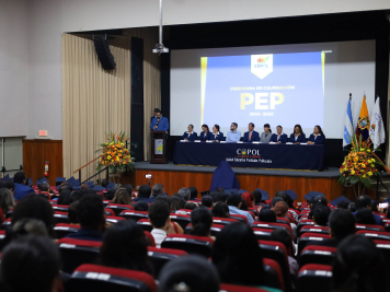 pep7mo-